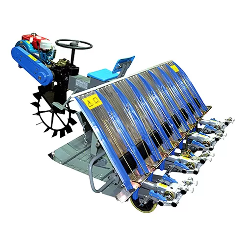 Rice tranplanter